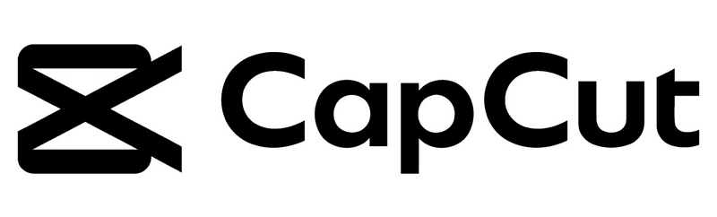 CapCut | Remove Wind Noise from Videos