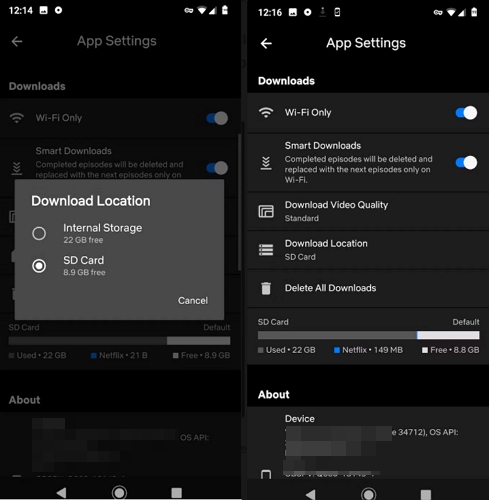save netflix movies to sd | download netflix movies on hard drive
