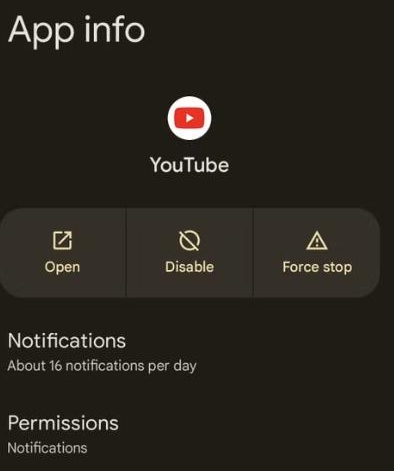tap Storage and cache | The Playlist Does Not Exist on YouTube