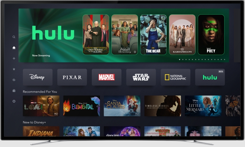Hulu in Disney+ | hulu not working on firestick 